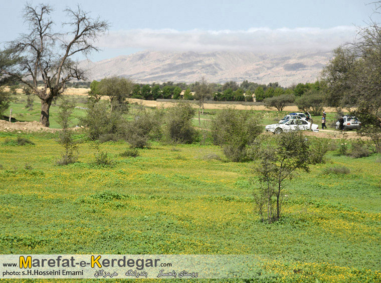 طبیعت بهاری شهرستان بندرلنگه