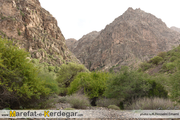 گشت و گذار در استان خراسان رضوی گشت و گذار در استان خراسان رضوی