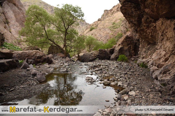 طبیعت باخرز طبیعت باخرز