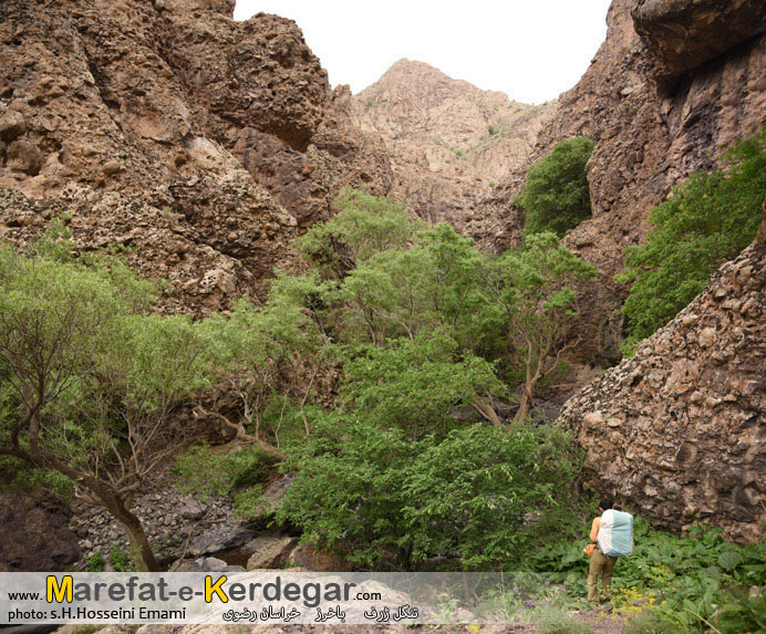 طبیعت استان خراسان رضوی طبیعت استان خراسان رضوی