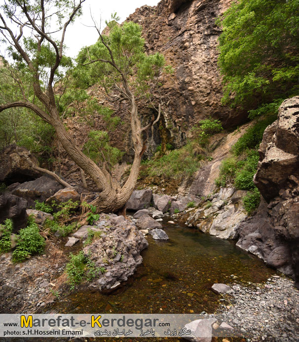 طبیعت ایران طبیعت ایران