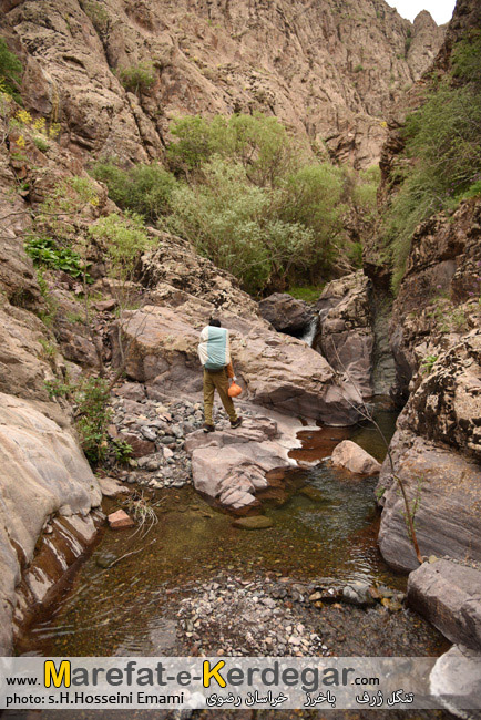 طبیعت ایران