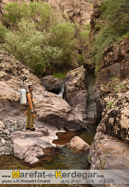 طبیعت ایران طبیعت ایران