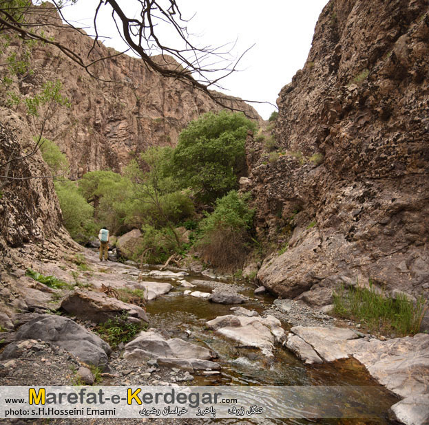 گردشگری باخرز گردشگری باخرز