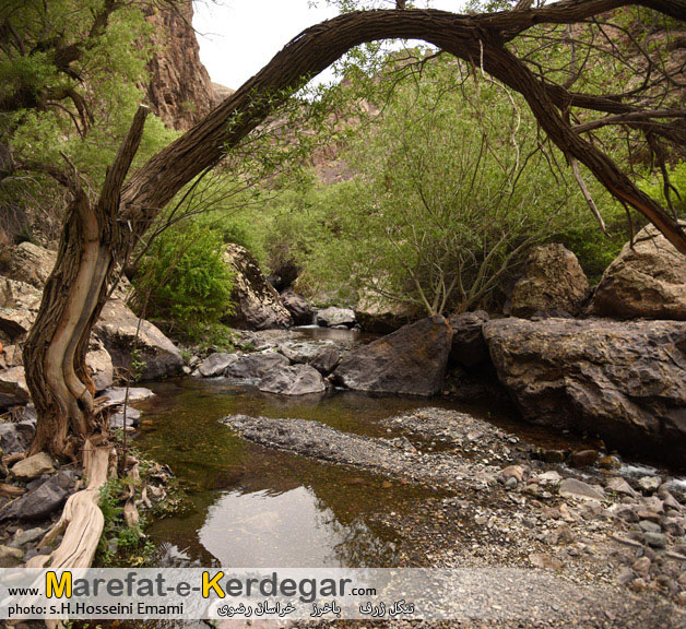 گردشگری باخرز