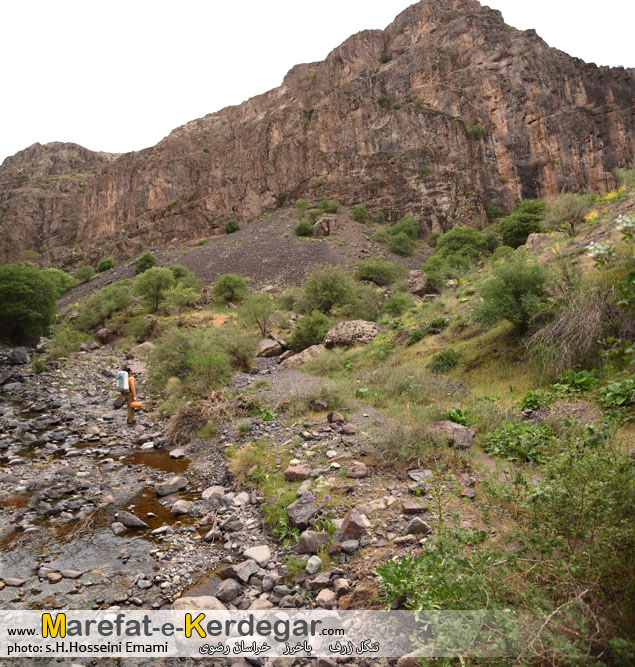 گردشگری خراسان رضوی