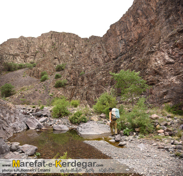 گردشگری ایران