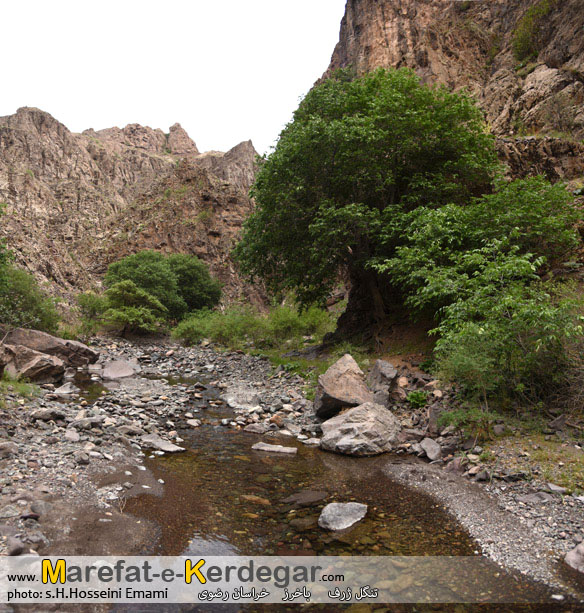 جاذبه های باخرز جاذبه های باخرز