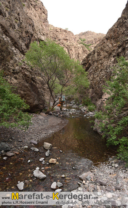 جاذبه های گردشگری شهرستان باخرز جاذبه های گردشگری شهرستان باخرز