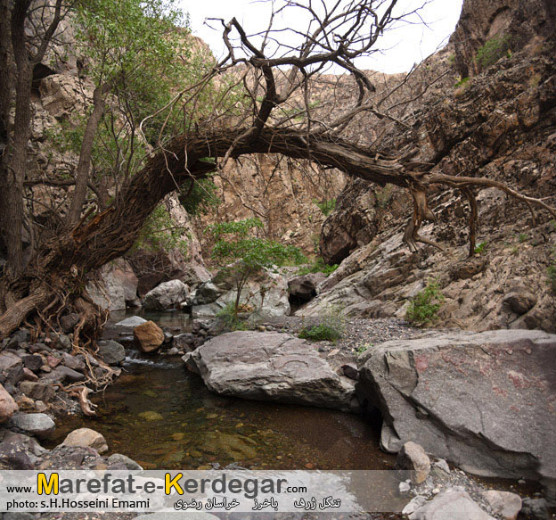 جاذبه های گردشگری شهرستان باخرز