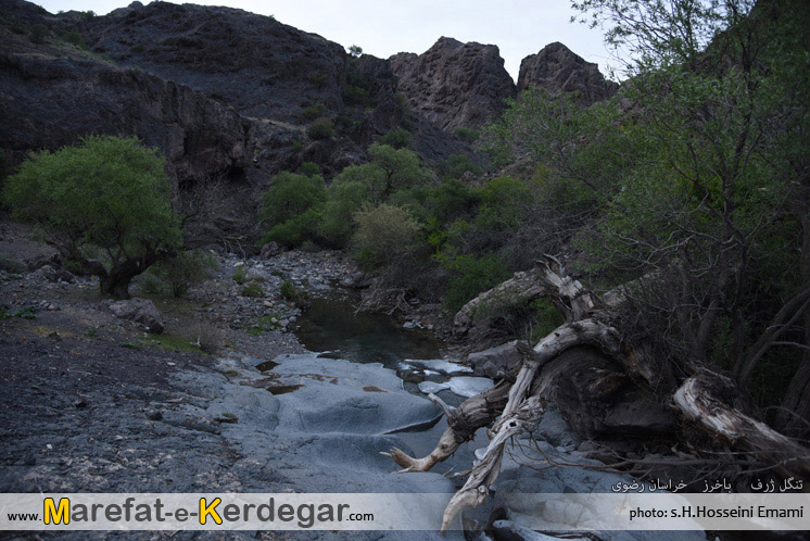 جاذبه های طبیعی باخرز جاذبه های طبیعی باخرز