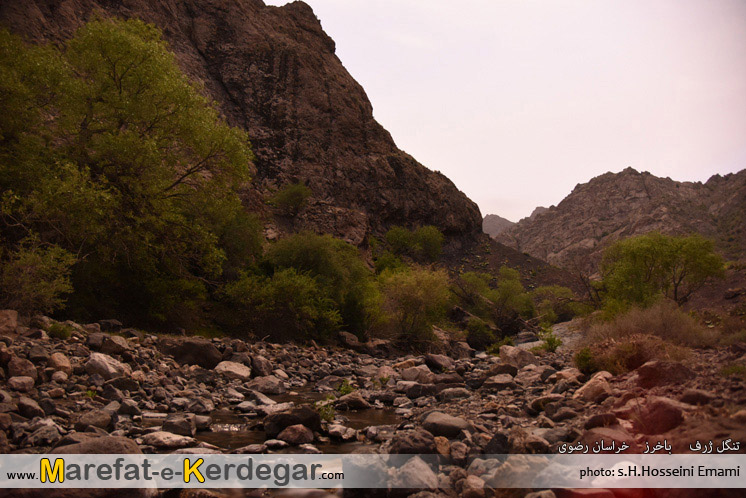 جاذبه های طبیعی باخرز جاذبه های طبیعی باخرز