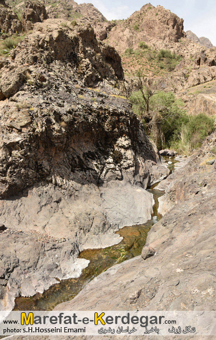 دیدنی های شهرستان باخرز دیدنی های شهرستان باخرز