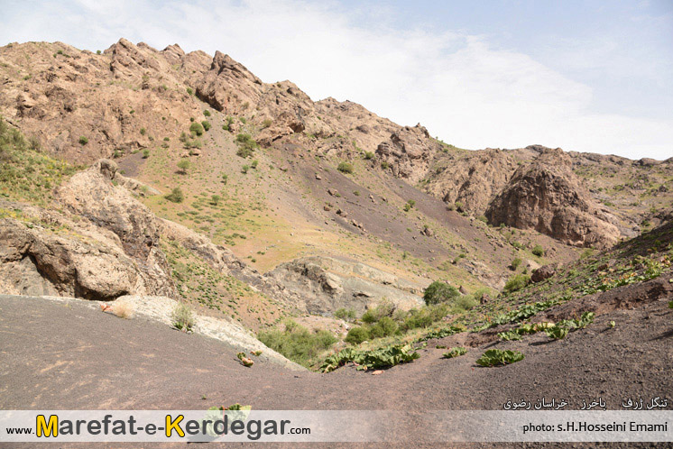 دیدنی های شهرستان باخرز دیدنی های شهرستان باخرز