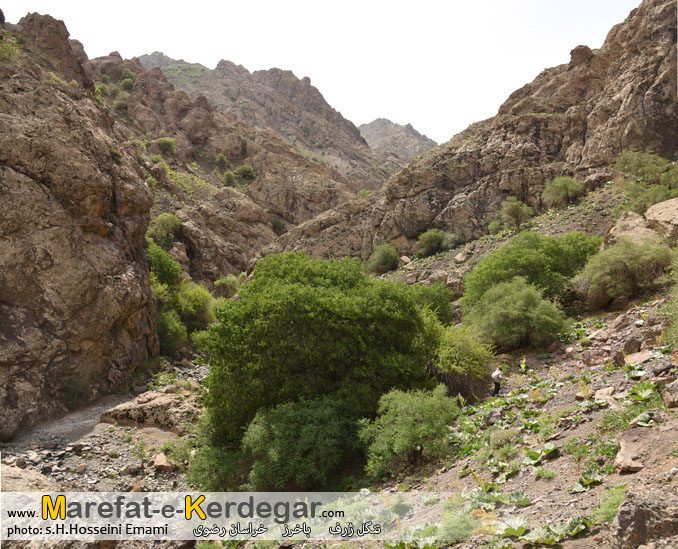 دیدنی های خراسان رضوی دیدنی های خراسان رضوی