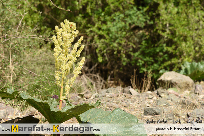 دیدنی های استان خراسان رضوی دیدنی های استان خراسان رضوی