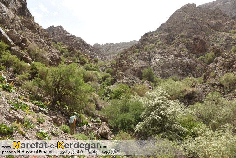 دیدنی های استان خراسان رضوی دیدنی های استان خراسان رضوی