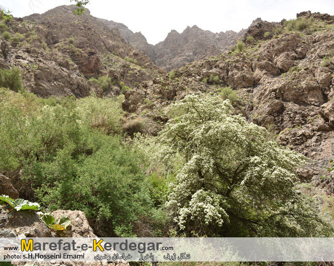 دیدنی های استان خراسان رضوی دیدنی های استان خراسان رضوی