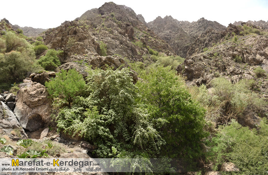 دیدنی های ایران دیدنی های ایران