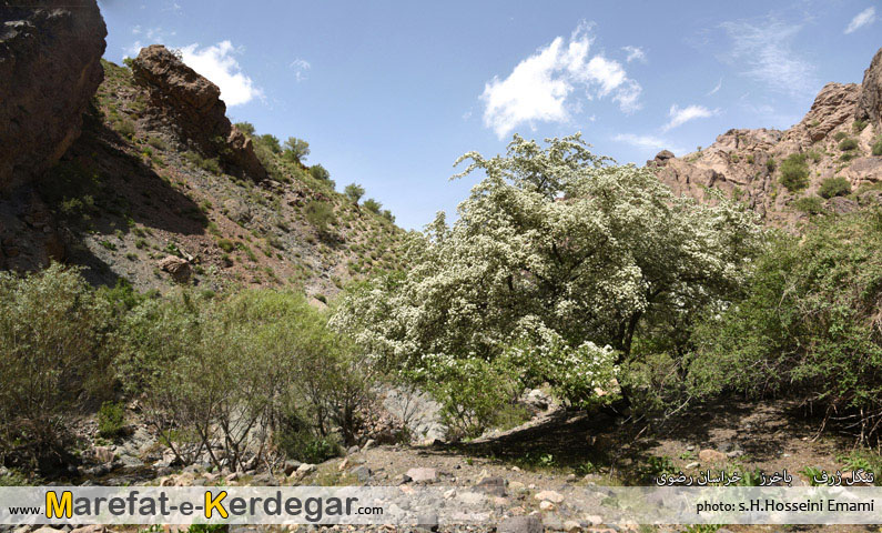 جاهای دیدنی شهرستان باخرز