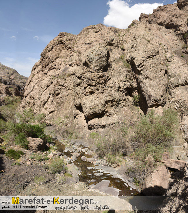 باخرز گردی باخرز گردی