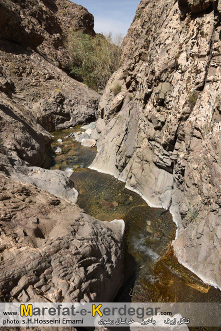 باخرز گردی باخرز گردی
