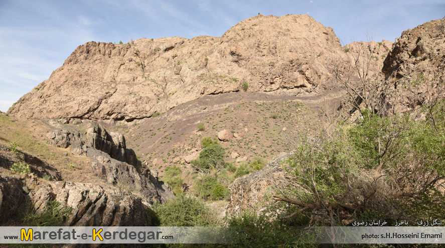 ایران گردی