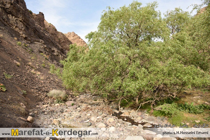 ایرانگردی ایرانگردی