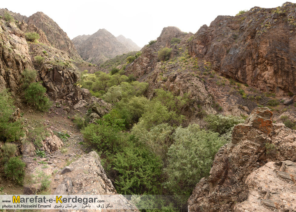 گشت و گذار در خراسان رضوی گشت و گذار در خراسان رضوی