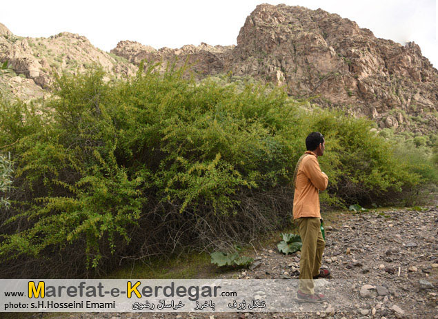 گشت و گذار در استان خراسان رضوی