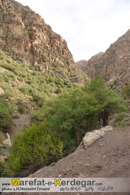 مناطق بکر خراسان مناطق بکر خراسان