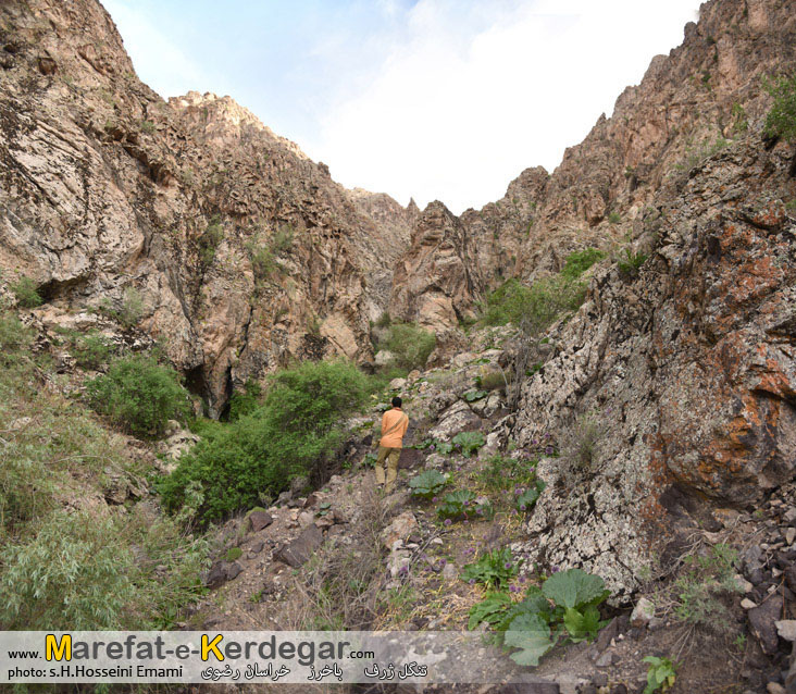 مناطق بکر استان خراسان رضوی مناطق بکر استان خراسان رضوی