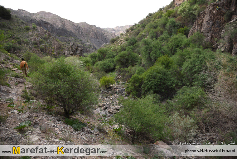 مکان های بکر باخرز مکان های بکر باخرز