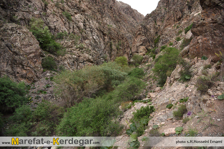 مکان های بکر خراسان مکان های بکر خراسان