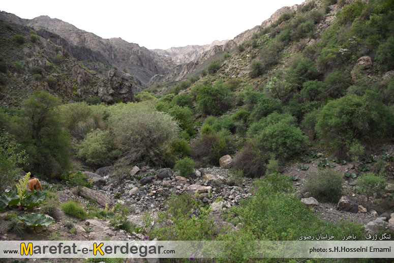 مکان های بکر خراسان رضوی مکان های بکر خراسان رضوی