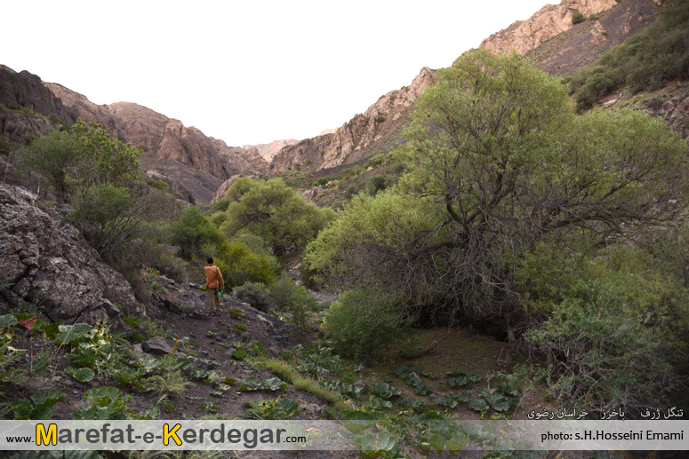 مکان های بکر استان خراسان رضوی مکان های بکر استان خراسان رضوی