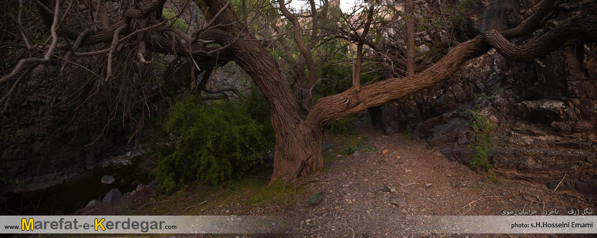 جاهای بکر ایران جاهای بکر ایران
