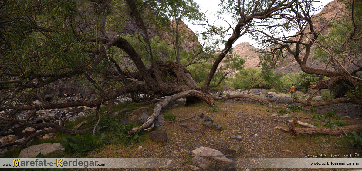 جاهای بکر استان خراسان رضوی جاهای بکر استان خراسان رضوی