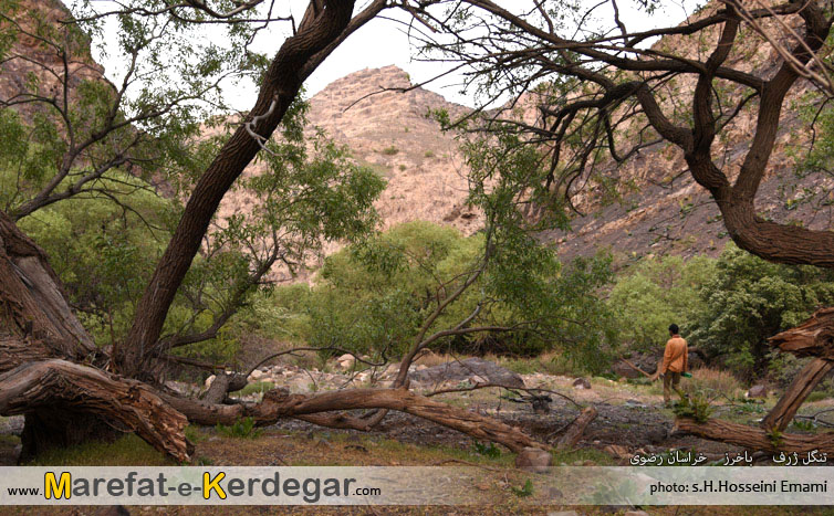 جاهای بکر استان خراسان رضوی جاهای بکر استان خراسان رضوی