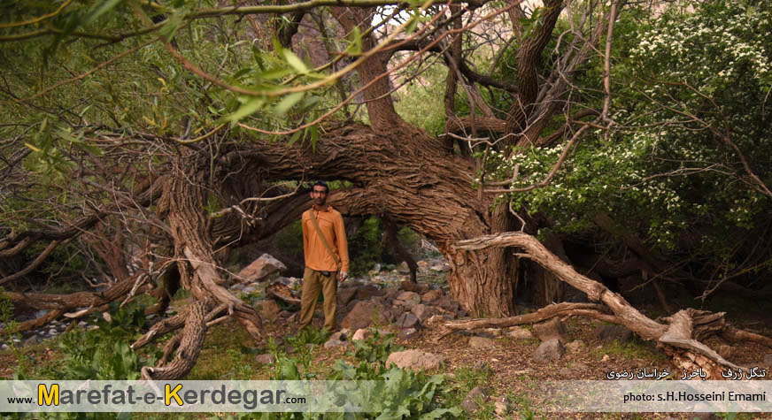 جاهای بکر خراسان رضوی جاهای بکر خراسان رضوی