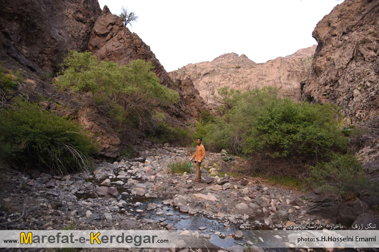 طبیعت بکر باخرز طبیعت بکر باخرز