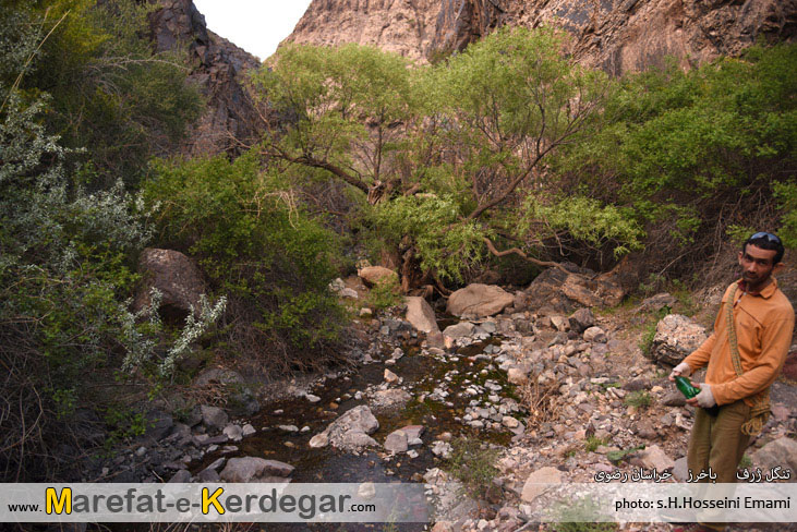 طبیعت بکر خراسان رضوی طبیعت بکر خراسان رضوی