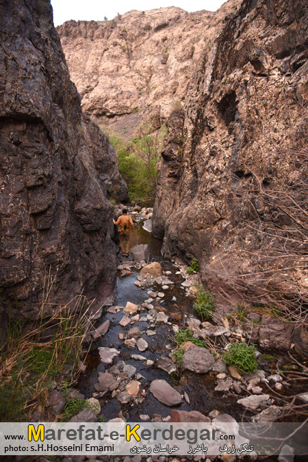 طبیعت بکر استان خراسان رضوی طبیعت بکر استان خراسان رضوی