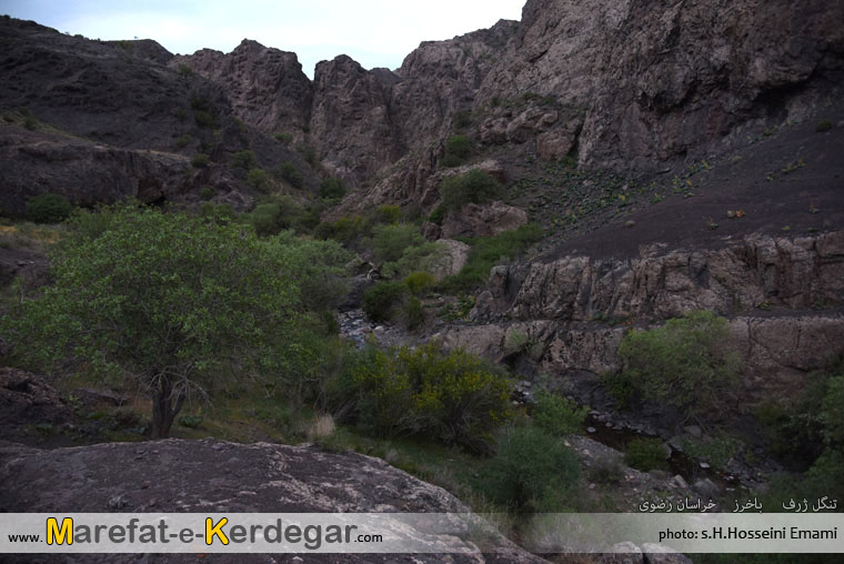 طبیعت بکر استان خراسان رضوی طبیعت بکر استان خراسان رضوی