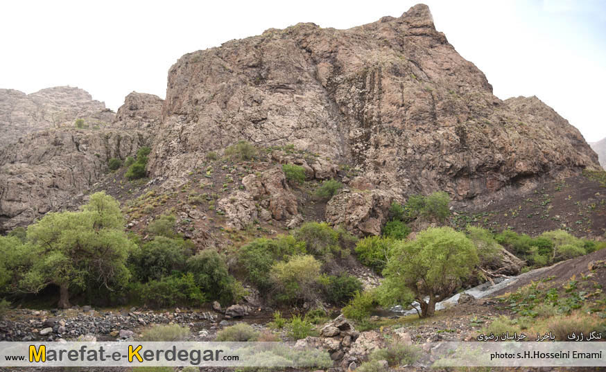 کوه های باخرز کوه های باخرز