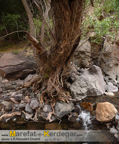 رودخانه های خراسان رضوی رودخانه های خراسان رضوی