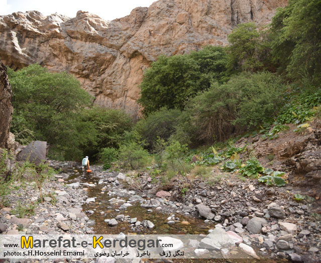 رودخانه های باخرز رودخانه های باخرز