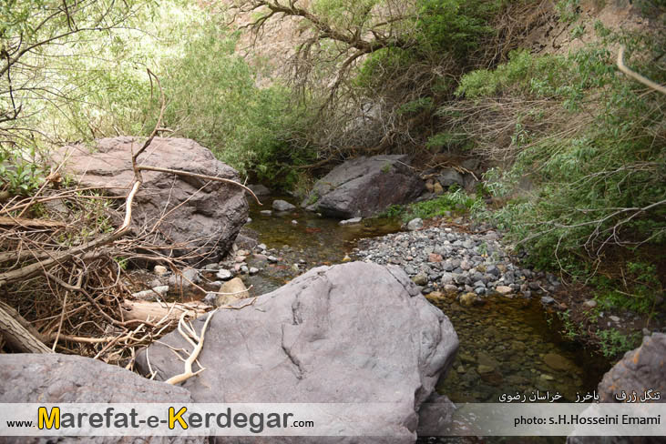 سیاحت در باخرز سیاحت در باخرز