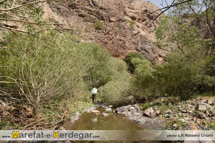 سیاحت در استان خراسان رضوی سیاحت در استان خراسان رضوی