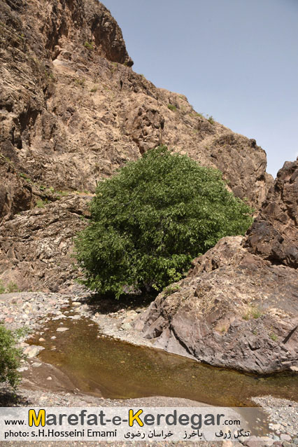 سیاحت در استان خراسان رضوی سیاحت در استان خراسان رضوی